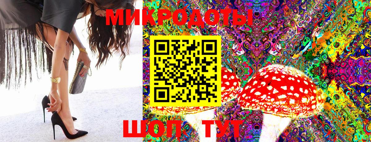 Ефремов  Галлюциногенные грибы MAGIC MUSHROOMS  Вход с VPN 