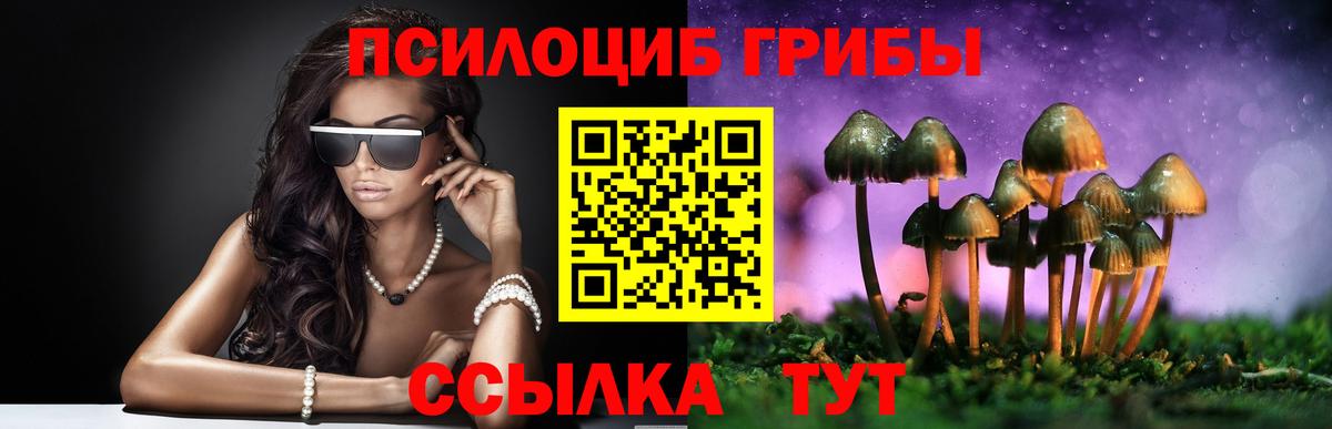 Псилоцибиновые грибы GOLDEN TEACHER Ефремов